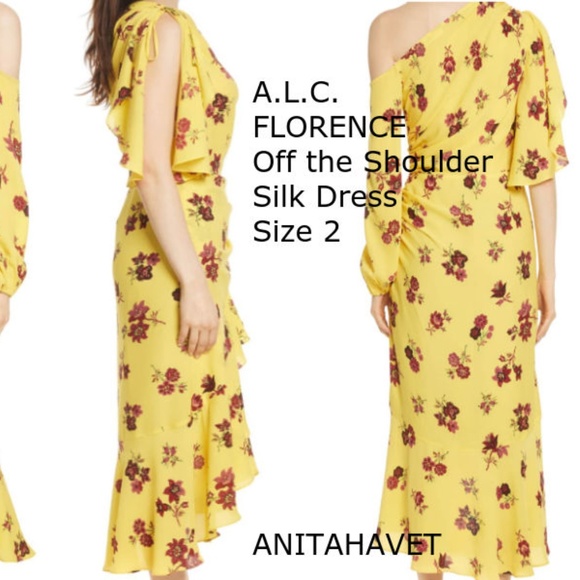 A.L.C. Florence One-Shoulder Ruched Ruffled Dress - Picture 2 of 14